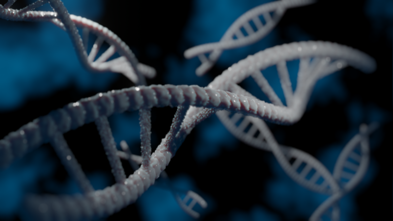 A 3D model of DNA. Image: Tim Tim, via Wikimedia Commons (CC licence, see Commons file page).