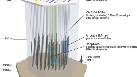 Diagram of the IceCube Neutrino Observatory beneath the Antarctic ice