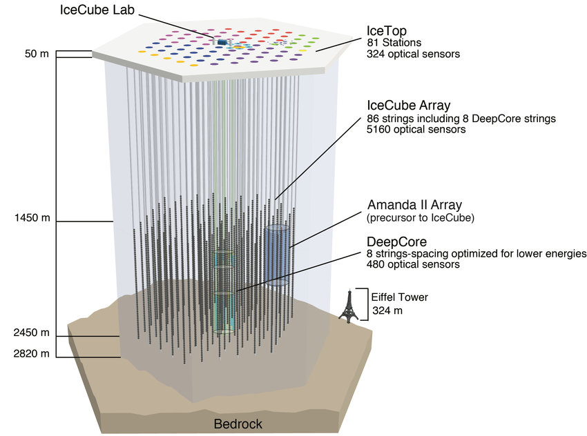 Diagram of the IceCube Neutrino Observatory beneath the Antarctic ice